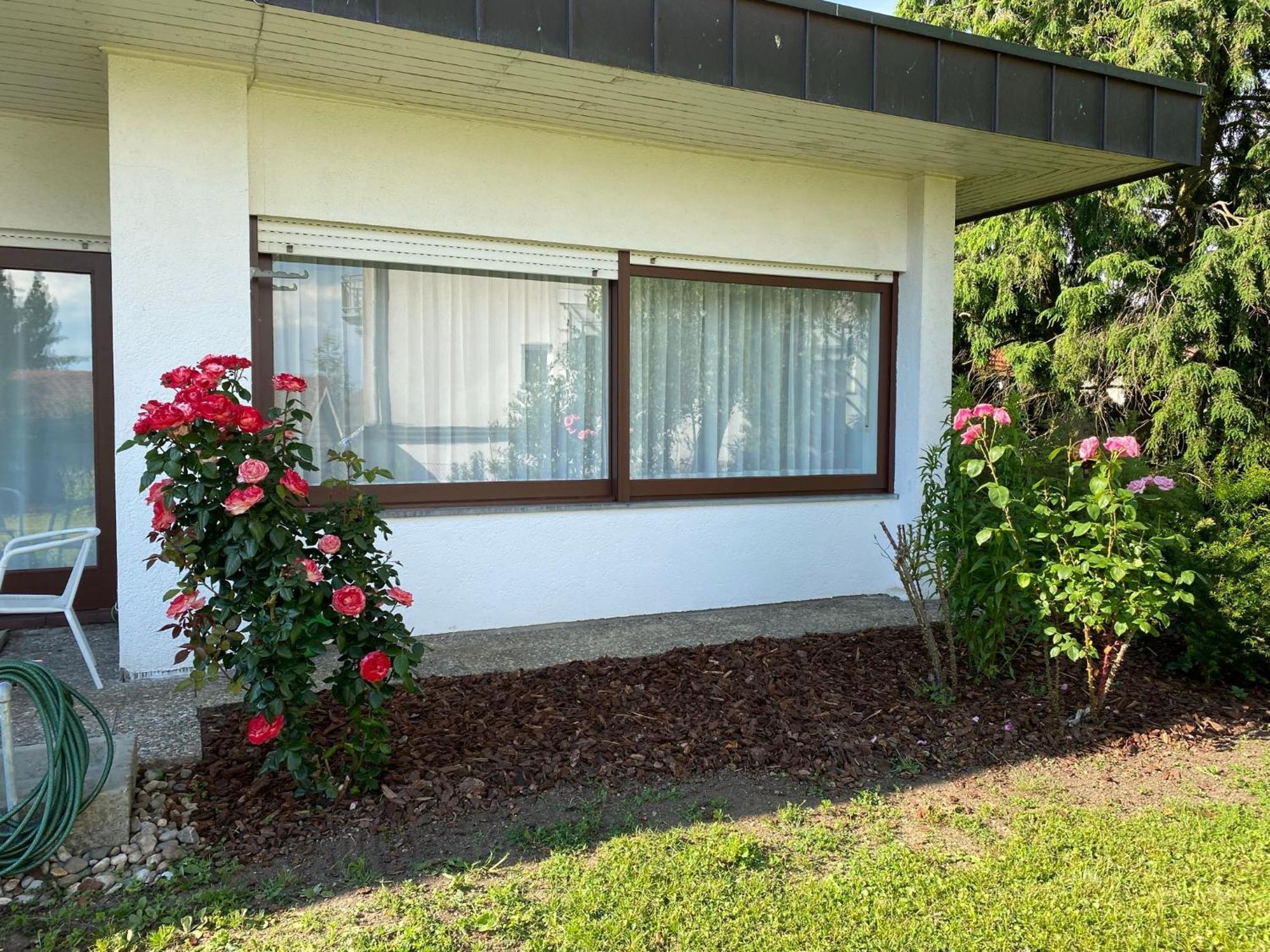 Bodensee Bungalow Immenstaad am Bodensee Exterior foto
