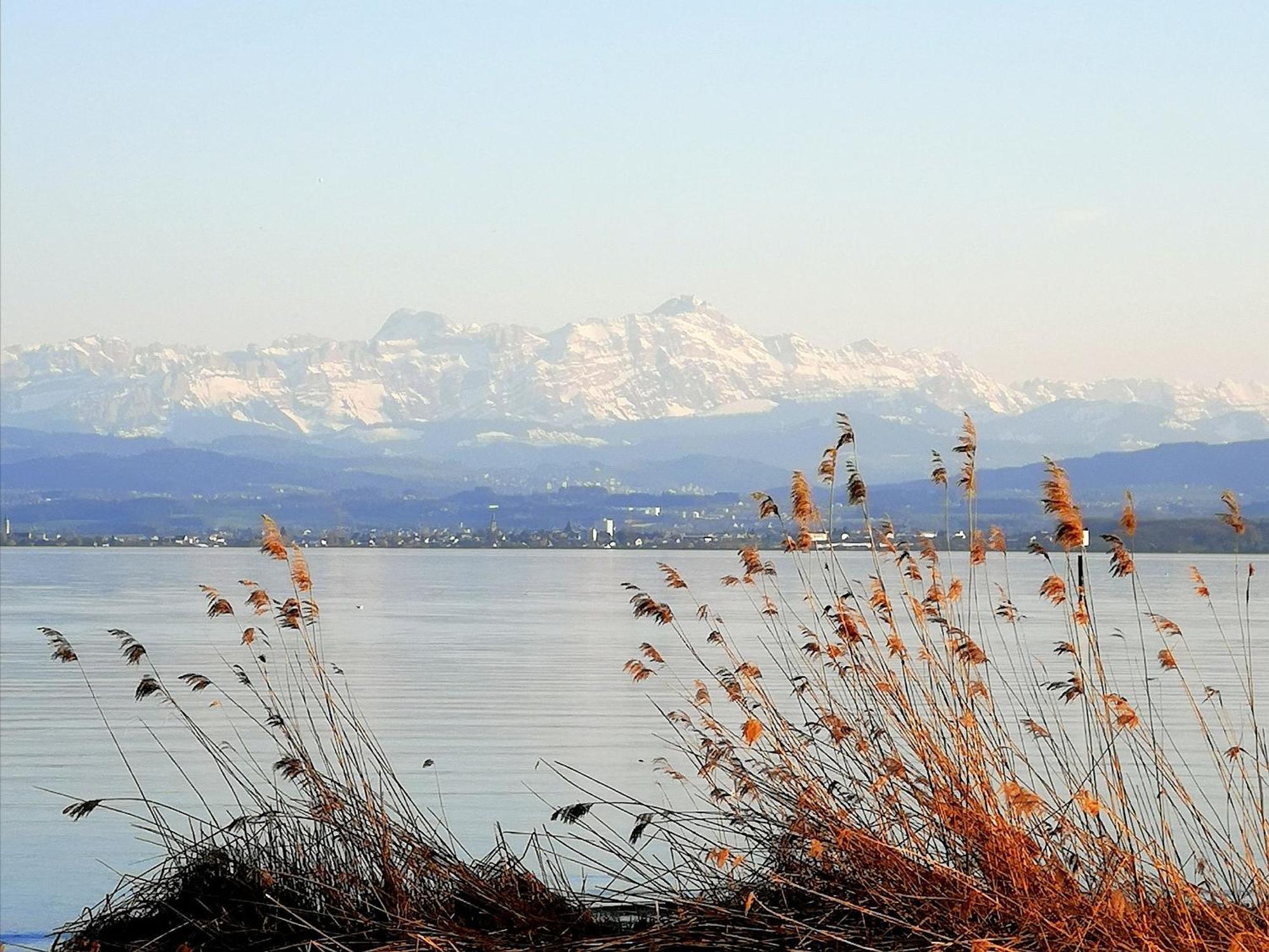 Bodensee Bungalow Immenstaad am Bodensee Exterior foto