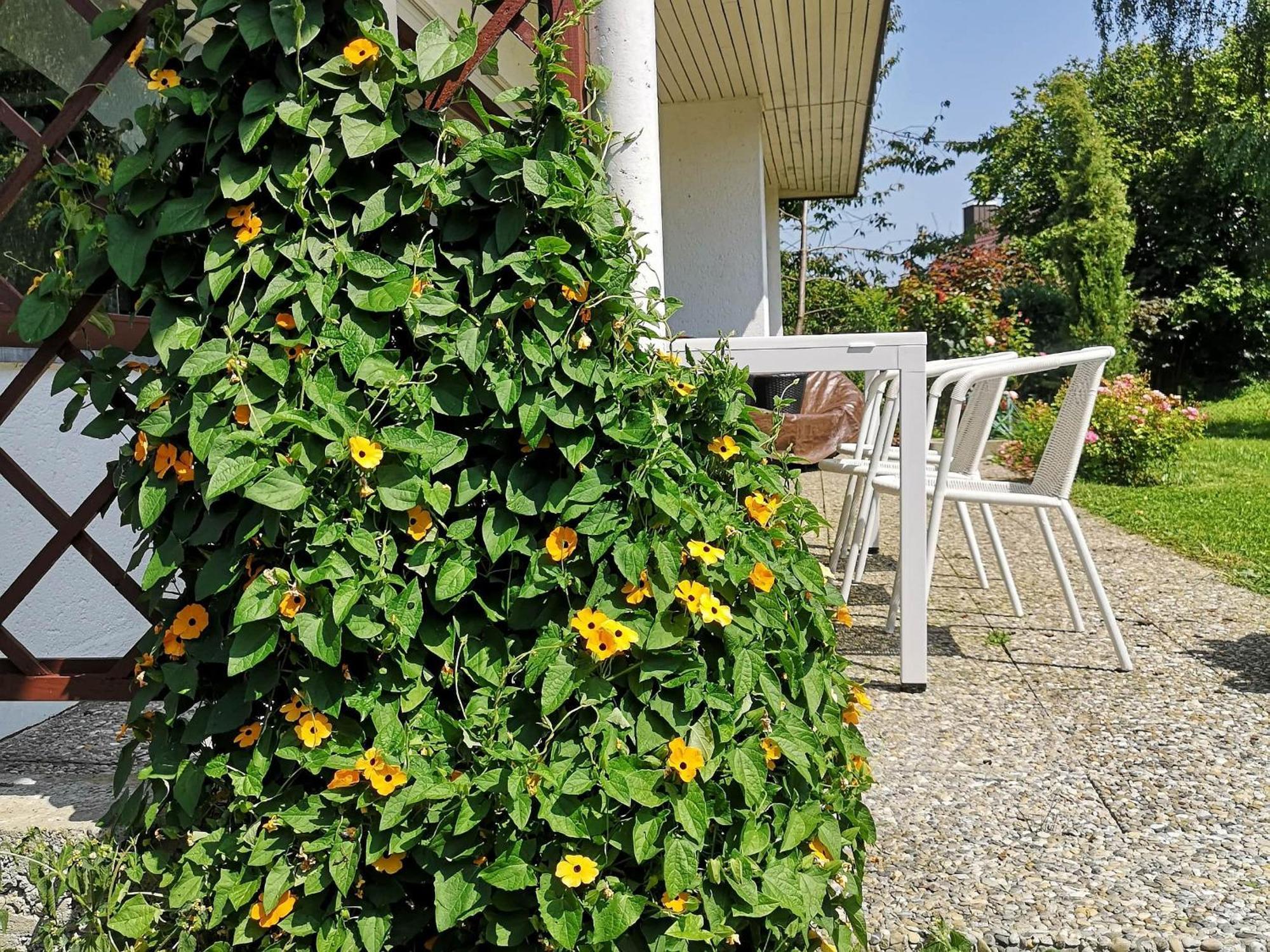 Bodensee Bungalow Immenstaad am Bodensee Exterior foto